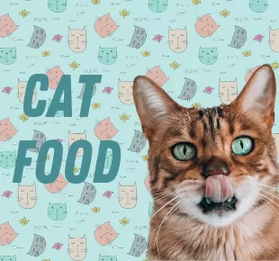 Cat Food